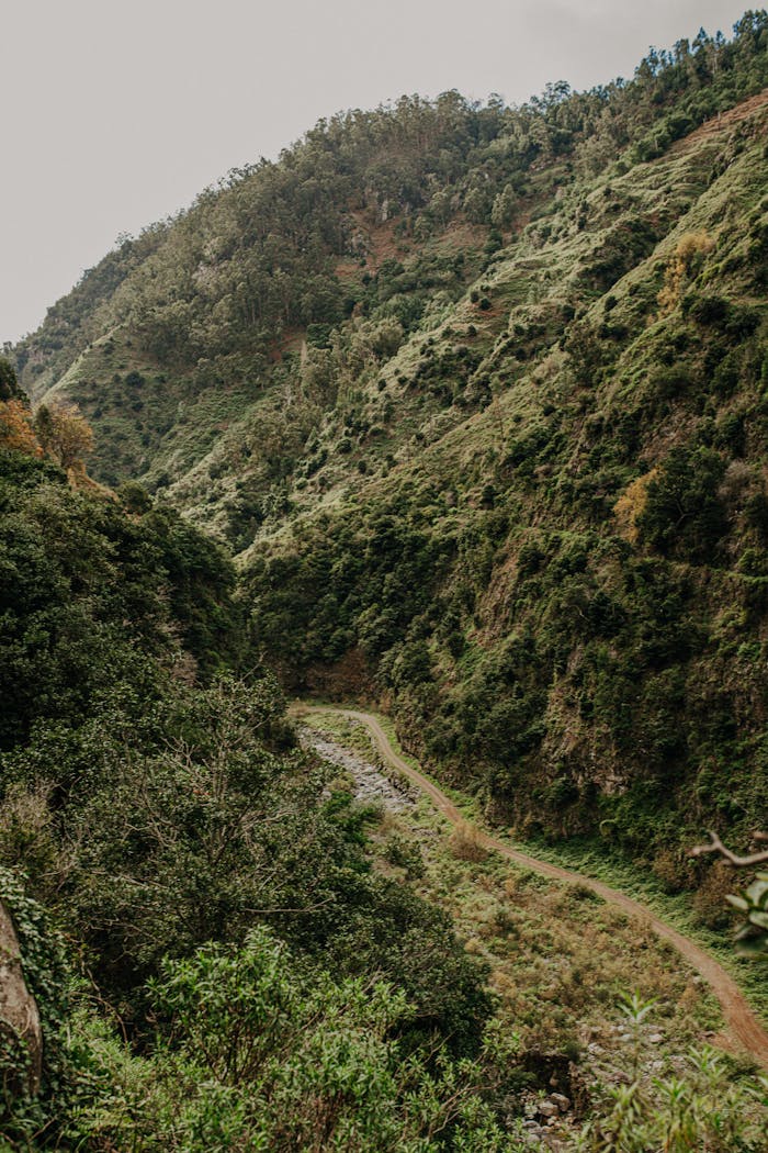 scenic-valley-in-madeira-portugal-32615683
